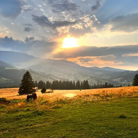 лісова Appartement *